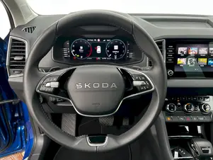 Škoda Karoq Top Selection