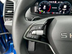 Škoda Karoq Top Selection