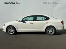 Octavia Elegance