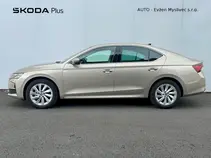 Octavia Top Selection