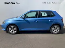 Fabia Style