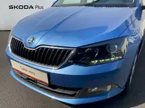 Fabia Style