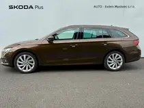 Octavia Style