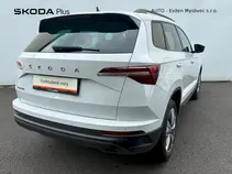 Karoq Style