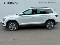 Karoq Style