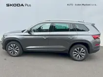 Kodiaq Style