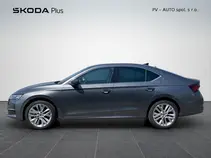 Octavia Top Selection