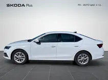 Octavia Style Plus