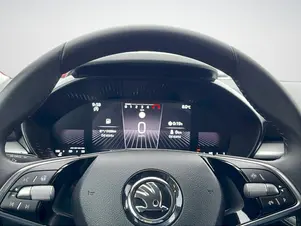 Škoda Fabia Top Selection