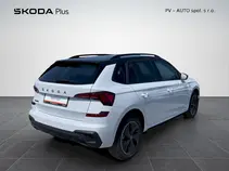 Kamiq Monte Carlo