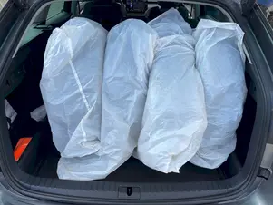 Škoda Octavia Top Selection