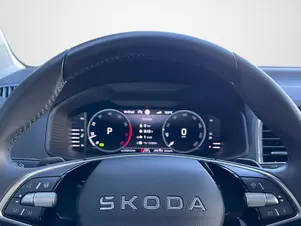 Škoda Karoq Top Selection