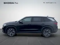 Kodiaq Exclusive Selection