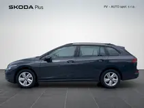 Golf Variant