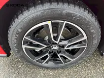 Fabia Monte Carlo