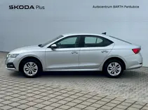 Octavia 