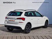 Kamiq Monte Carlo