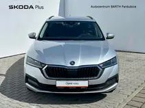 Octavia 