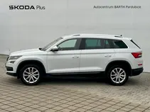 Kodiaq Style