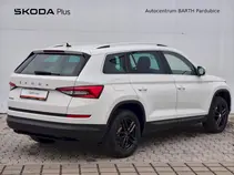 Kodiaq Style