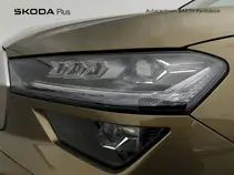 Kodiaq Exclusive Selection