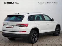 Kodiaq Style