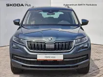 Kodiaq Style