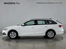 Octavia 
