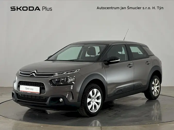 C4 Cactus 