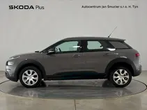 C4 Cactus 