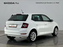 Fabia Style