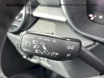 Fabia Top Selection