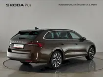 Octavia Top Selection