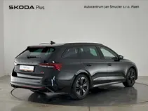 Octavia 