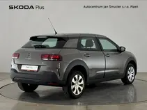 C4 Cactus