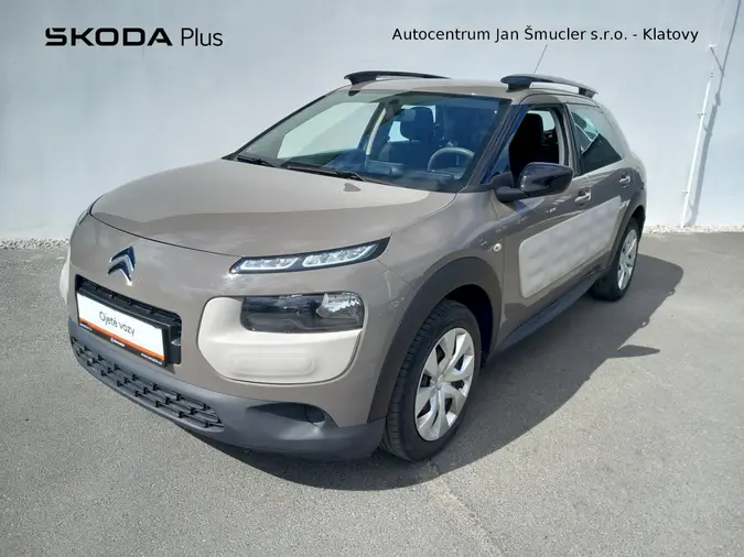 C4 Cactus