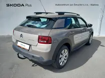 C4 Cactus
