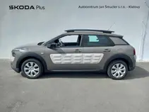 C4 Cactus