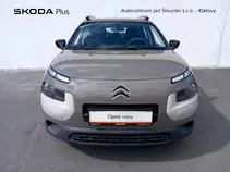 C4 Cactus