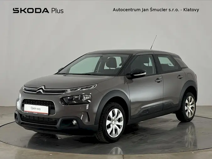 C4 Cactus 