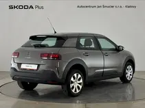 C4 Cactus 