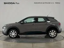 C4 Cactus