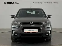 C4 Cactus 