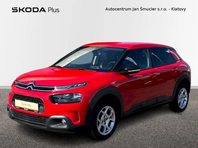 C4 Cactus 