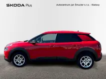 C4 Cactus