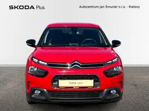 C4 Cactus 