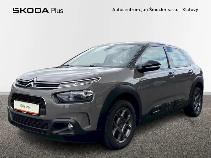 C4 Cactus 