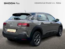 C4 Cactus 