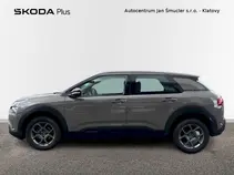 C4 Cactus 