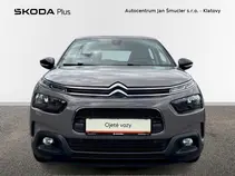 C4 Cactus 